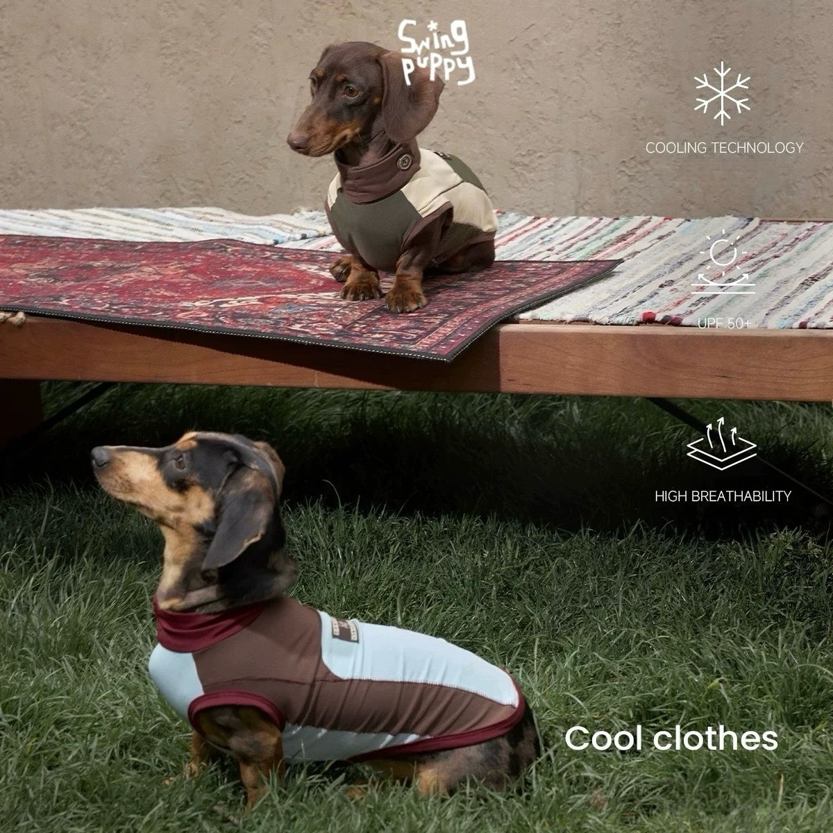 The Coolest Companion: Why Your Dog Needs a Cooling Vest This Summer