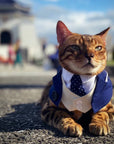 Queensway Decorative Pet Bandana