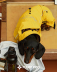 Golden Trail Rain Suit