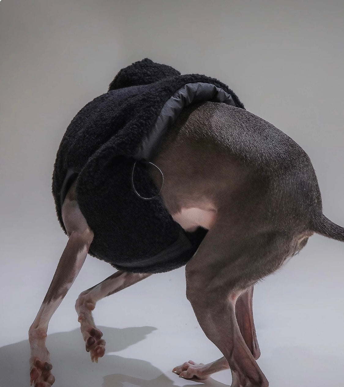 Galactic Winter Vest & Ushanka