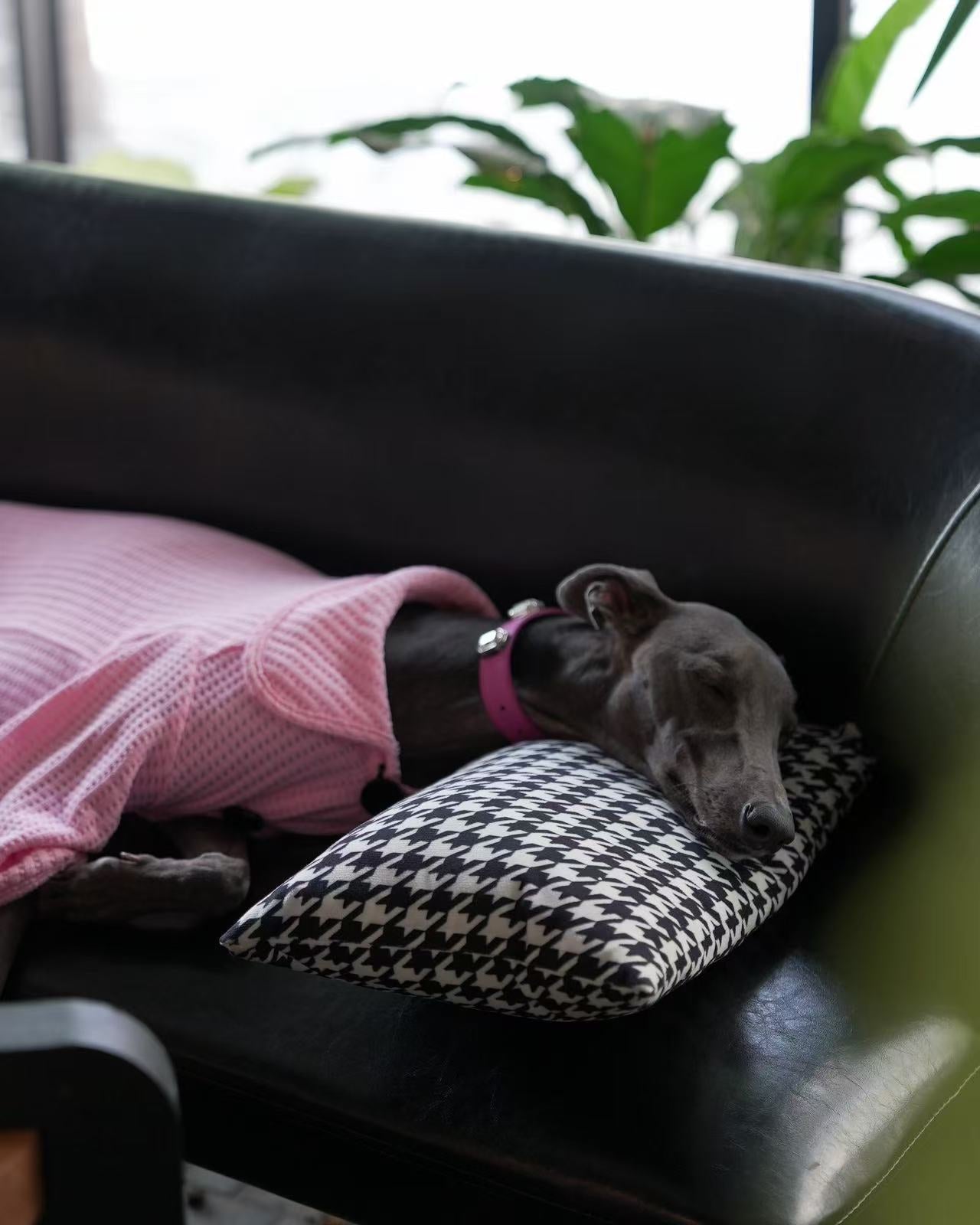 Rixchic Pink Sweater