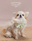 Pirouette Tutu Bandana