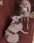 Royal Terriers’ Plaid Wool Coat