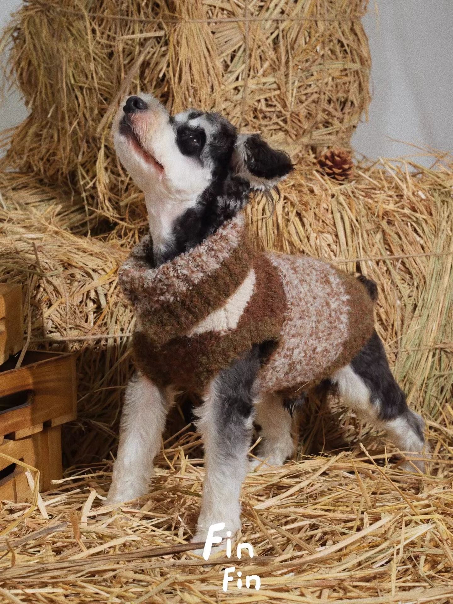 Wheatfield Plaid Fleece Pullover