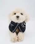 Parisian Style Outfit for Cats & Dogs