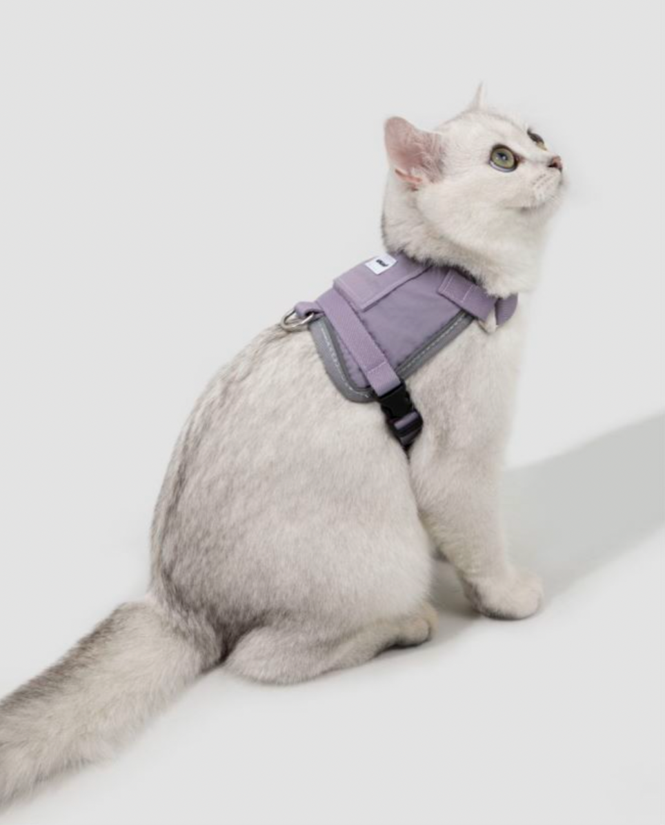 Mountain Valley Mini Horse Saddle Cat Harness & Leash Set  Pawelier