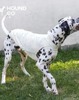 Summit Breeze Cooling Vest