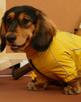 Golden Trail Rain Suit