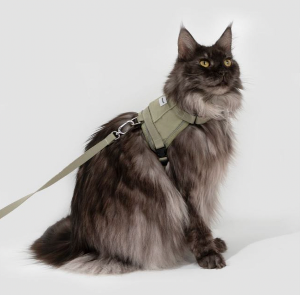 Mountain Valley Mini Horse Saddle Cat Harness & Leash Set