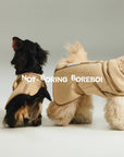 Minimal Suede Classic Pet Jacket
