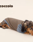 Cocoon Stripe Dralon Tee