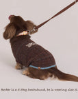 Oxford Knit Vest -- Brown/ Light Blue