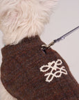 Oxford Knit Vest -- Brown/ Light Blue