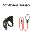 Urban Barkin Leather Walking Set