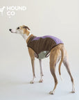 Light Outdoor Fleece Vest