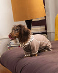 Caramel Stripe Four-Legged Hoodie