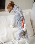 LightShield Waterproof Dog Raincoat