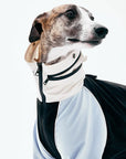 BreezeGuard Rainwear