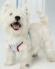Bliss X-Shape Harness -- Blue Gingham