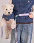 Hands Free Dog Leash Adjustable Pet Leash for Walking