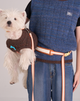 Hands Free Dog Leash Adjustable Pet Leash for Walking