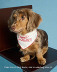 Happily Ever After Bandana -- Red