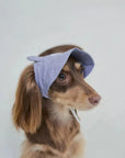 Lilac Bunny Dog Cooling Hat