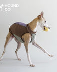 Light Outdoor Fleece Vest