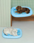 Elephant Aqua Breeze Cooling Bed