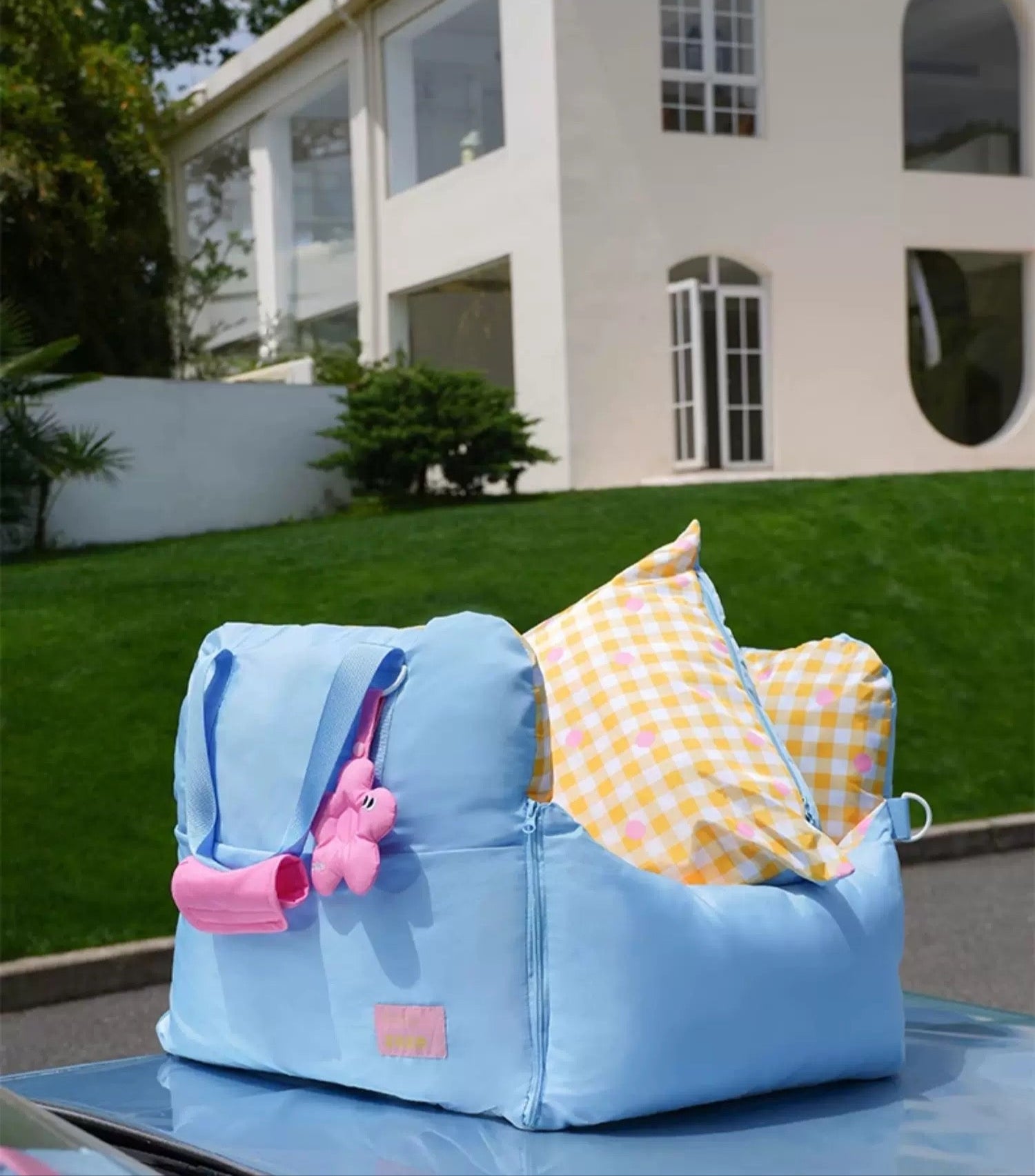 BubbleBloom Convertible Pet Picnic Bag