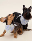 Plaid Love Bib