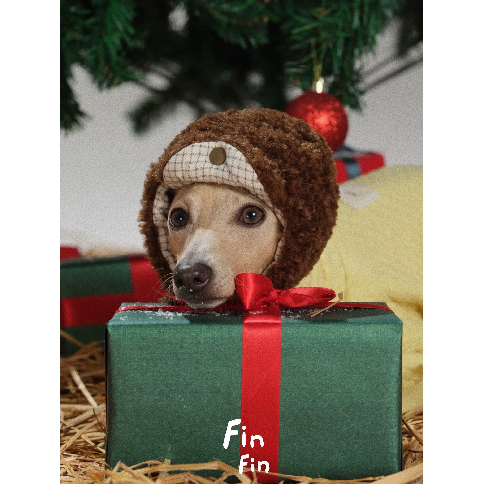 Teddy Fleece Ear-Warmer Ushanka – Pawelier