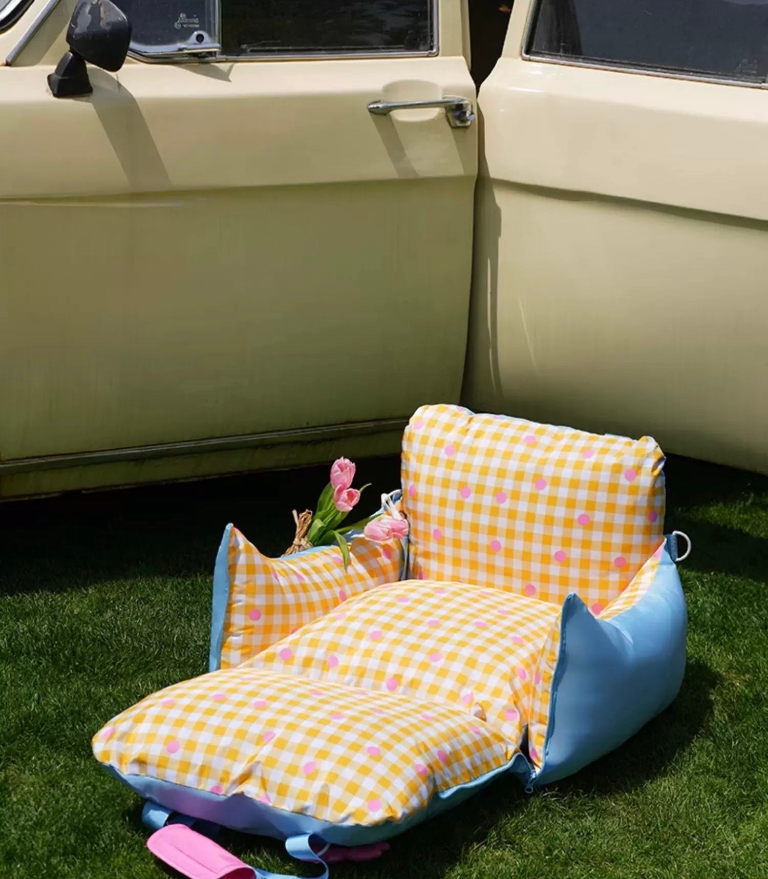 BubbleBloom Convertible Pet Picnic Bag