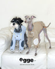 Breathable Waterproof Pet Windbreaker Jacket