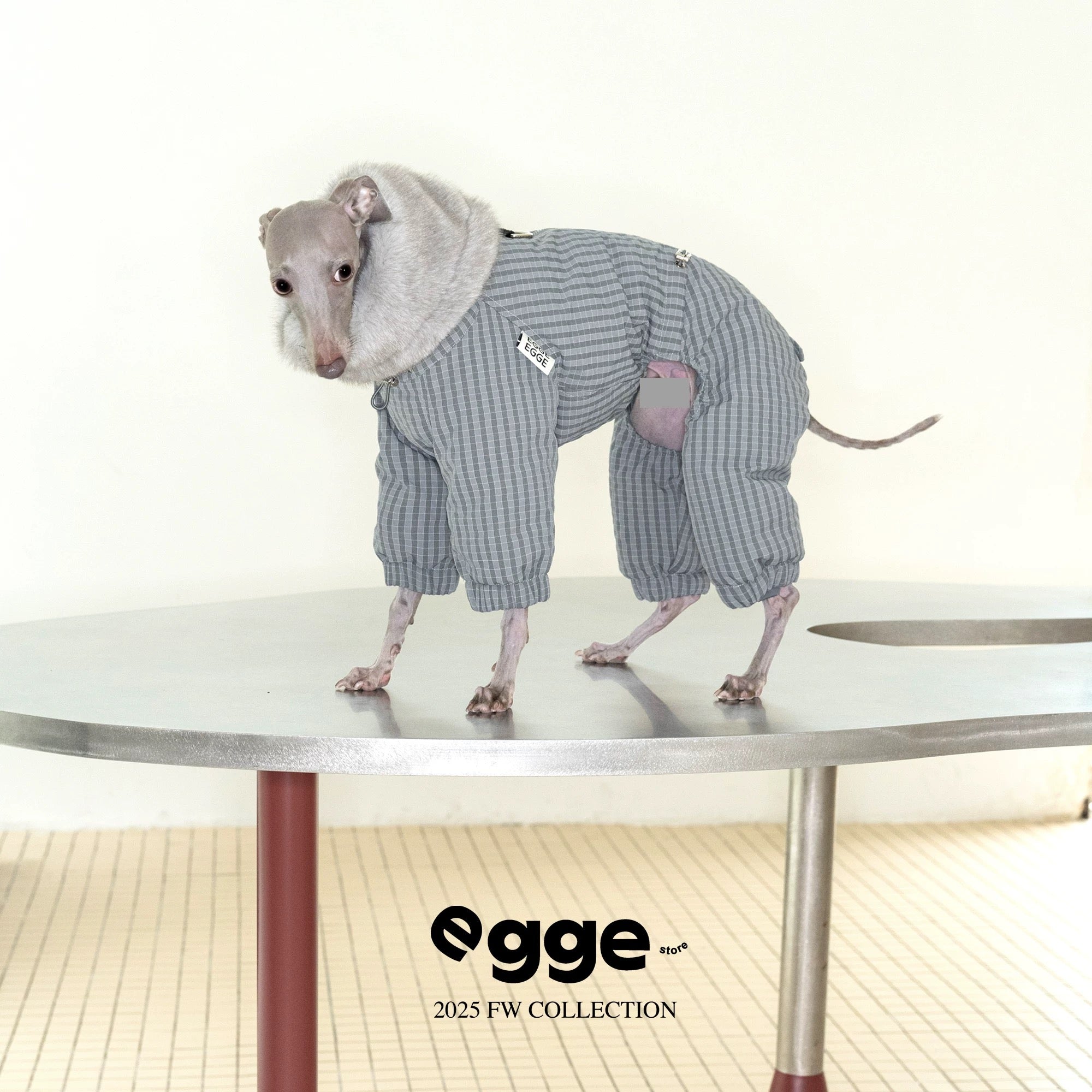 WinterCore Down Jacket – Pawelier