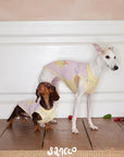 Butter Jam Summer Vest