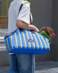 Gelato Stripe Carrier