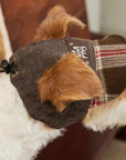 Windsor Reversible Plaid Dog Cap