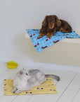 Dachshund Ice Pillow Mat