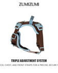 Chelsea Everyday Sporty H-shape Harness--Brown&Blue