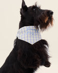 Plaid Love Bib