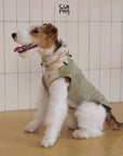 Matcha Taro Trail Vest