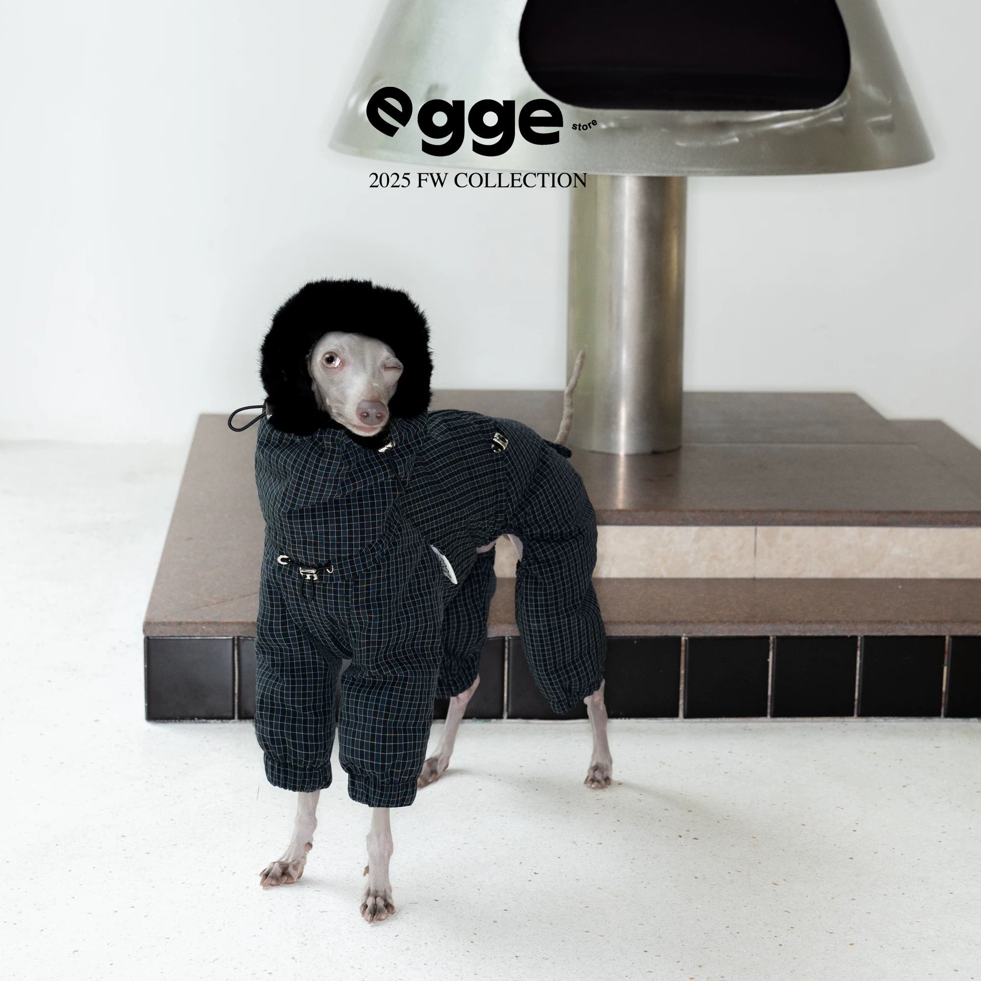 WinterCore Down Jacket – Pawelier