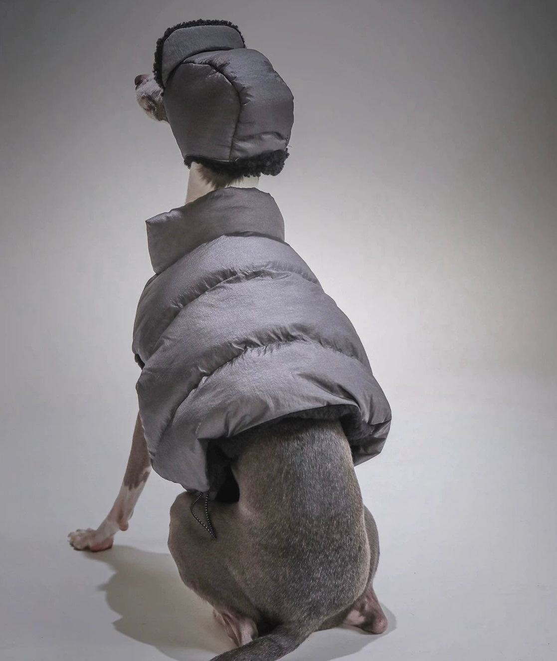 Galactic Winter Vest & Ushanka