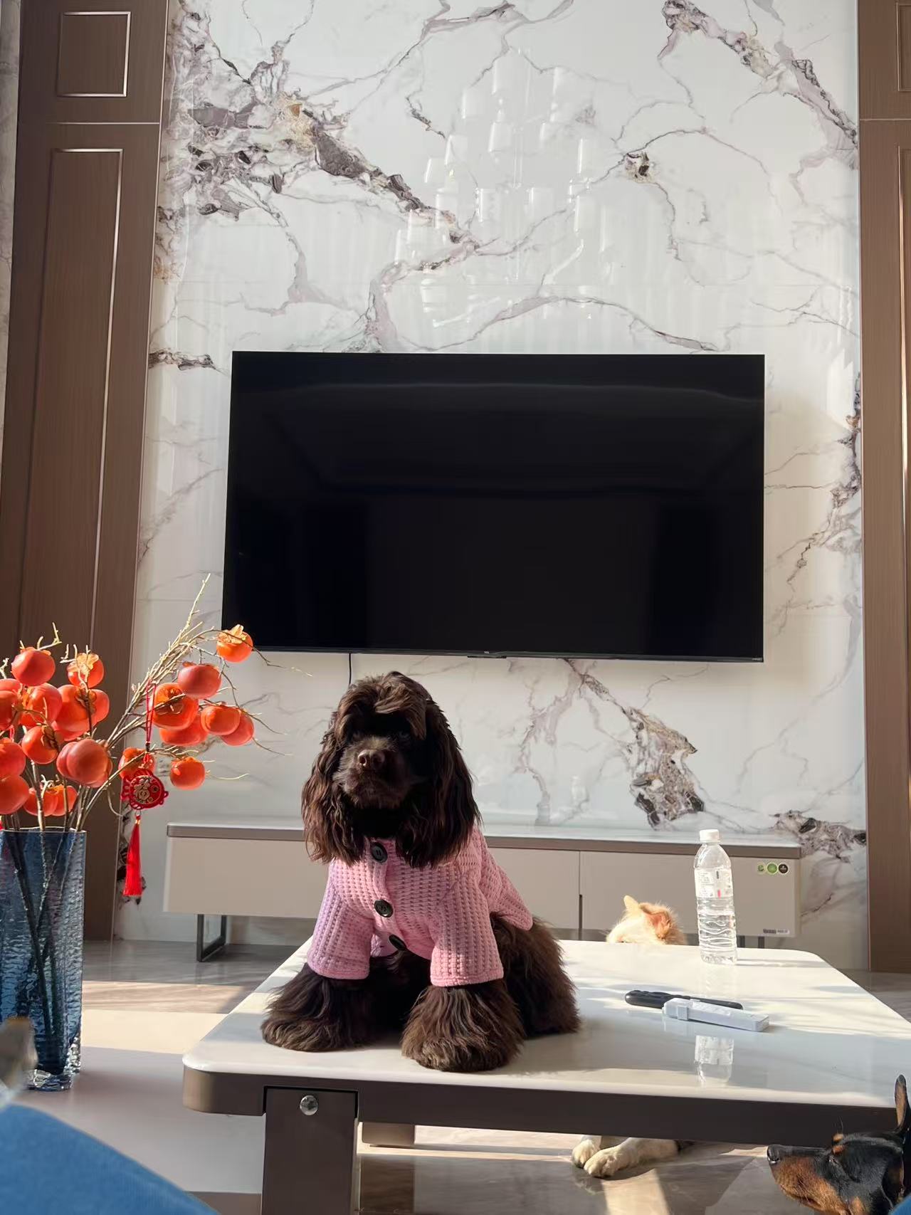 Rixchic Pink Sweater