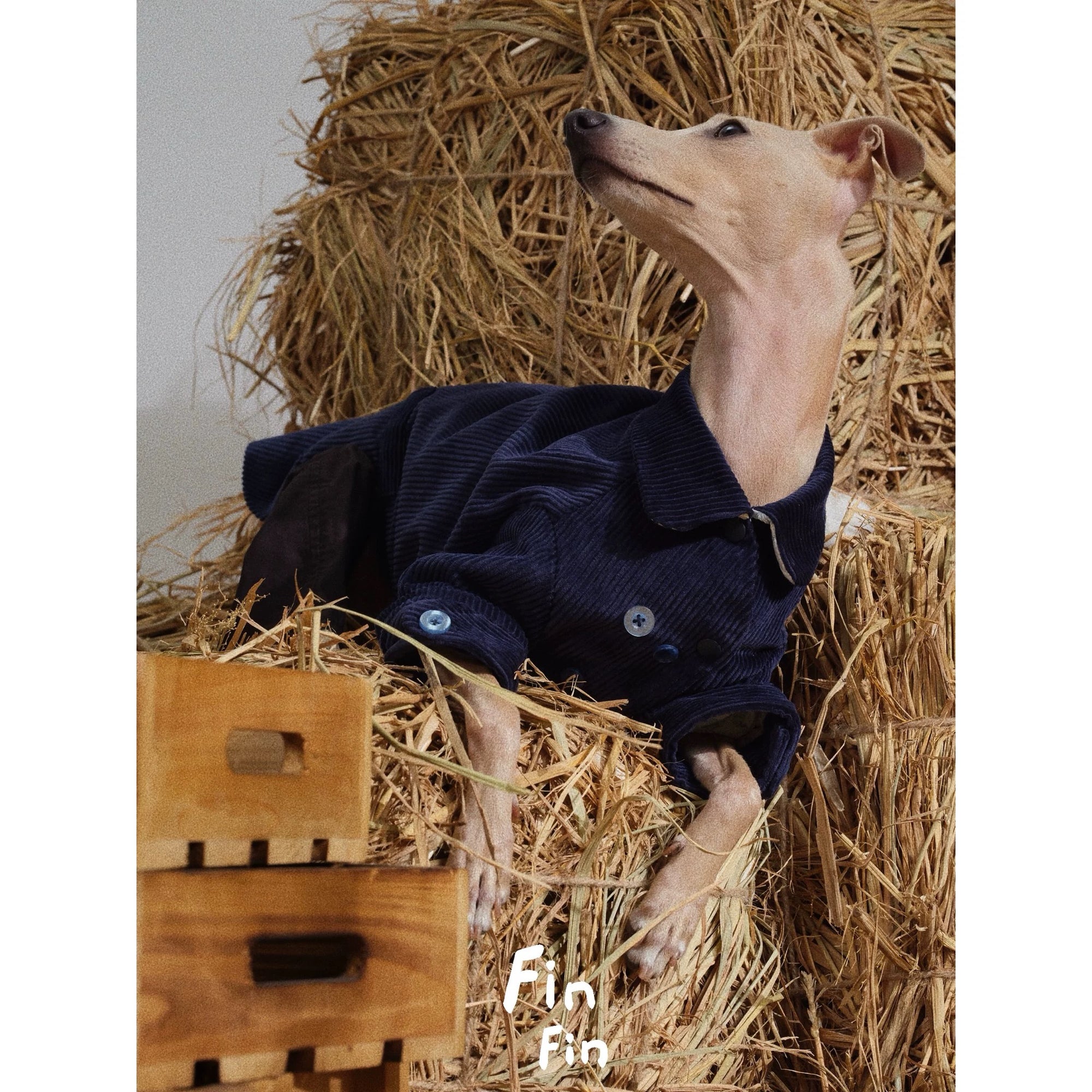 B.L.U.E Corduroy Two-Legged