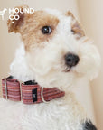 Martingale Yarn-Dyed Collar