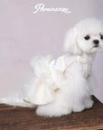 Gone with the Wind Cloud Gauze Skirt Dress