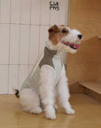 Sage Summit Cooling Vest