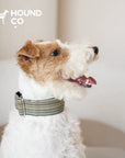 Martingale Yarn-Dyed Collar